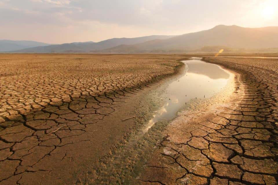 drought-stricken land